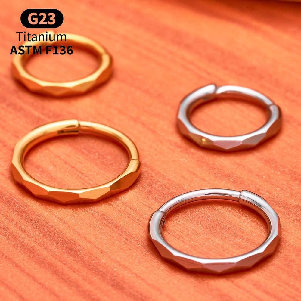 G23 Titanium Faceted CZ Hinged - Conch Earring Hoop review and price