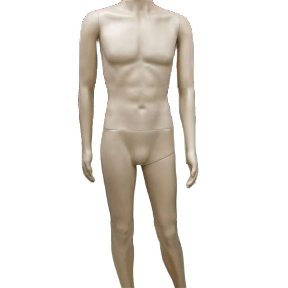 183cm Full Plastic Torso Manne - Body Jewelry Plus review and price