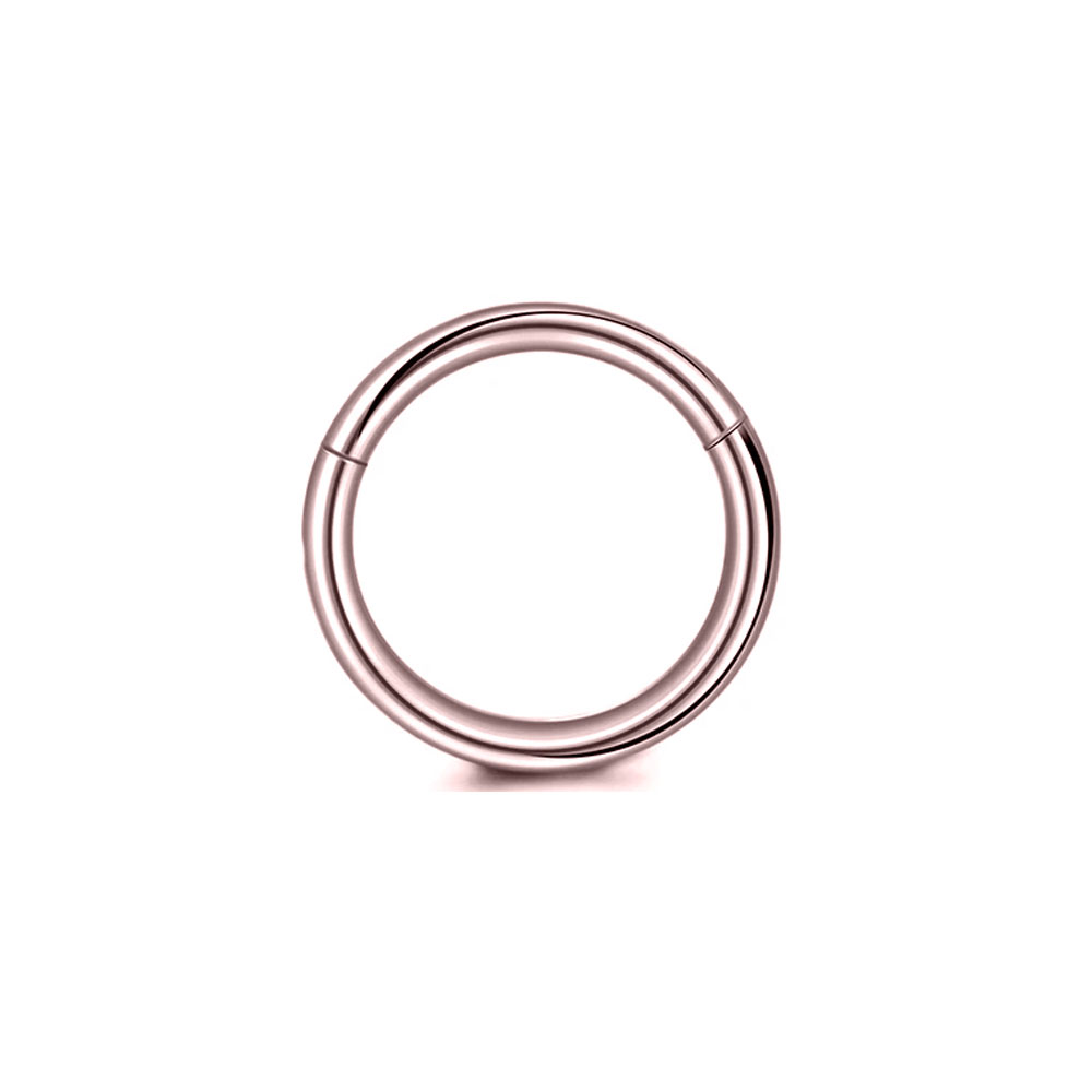 316L Surgical Steel Clicker Se - Conch Earring Hoop review and price