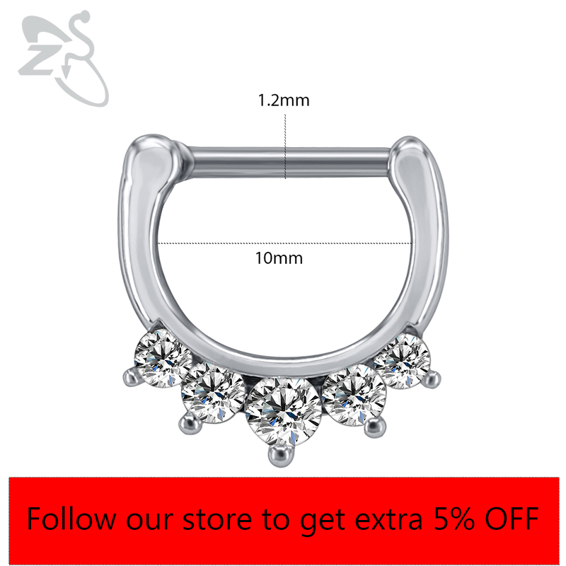 ZS 16G Surgical Steel Indian N - Body Jewelry Indian review and price