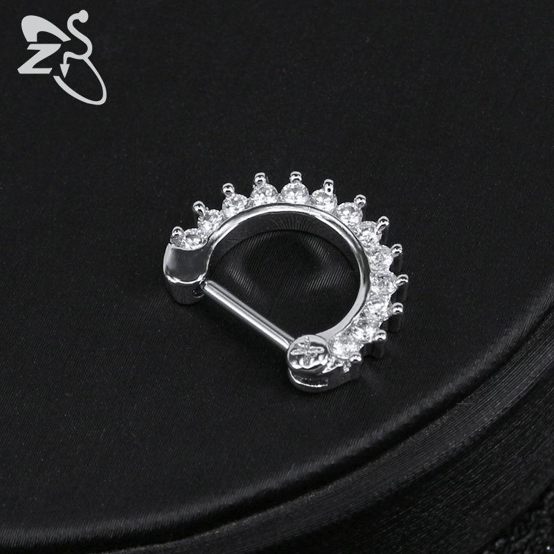 ZS 16G Surgical Steel Indian N - Body Jewelry Indian review and price
